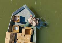 Cikana biologist Kyle Robertson releases a bag containing fry into Brookville Lake, returning them to the waters their eggs came from.