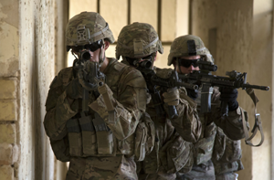 Urban Operations image