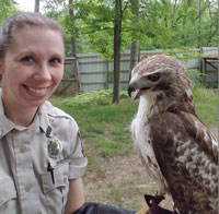 Hawk Hawk