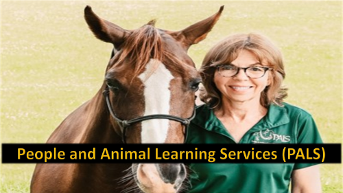 volunteer-Program-Award-Nominee,-People-and-Animal-Learning-Services-PALS.png