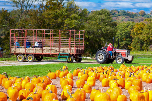 People on hayride behind tractor at pumpkin patch People on hayride behind tractor at pumpkin patch