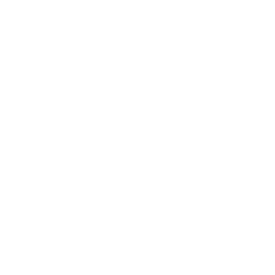 Megaphone