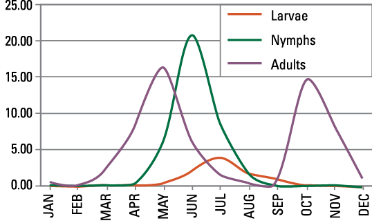 blacklegged_tick_activity