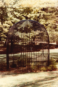 bird cage