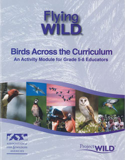 Flying Wild Cover