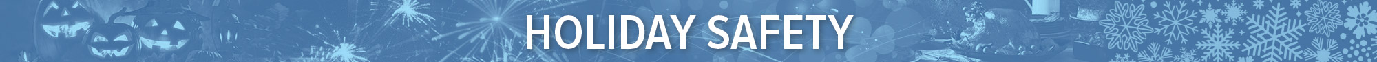 holiday section banner