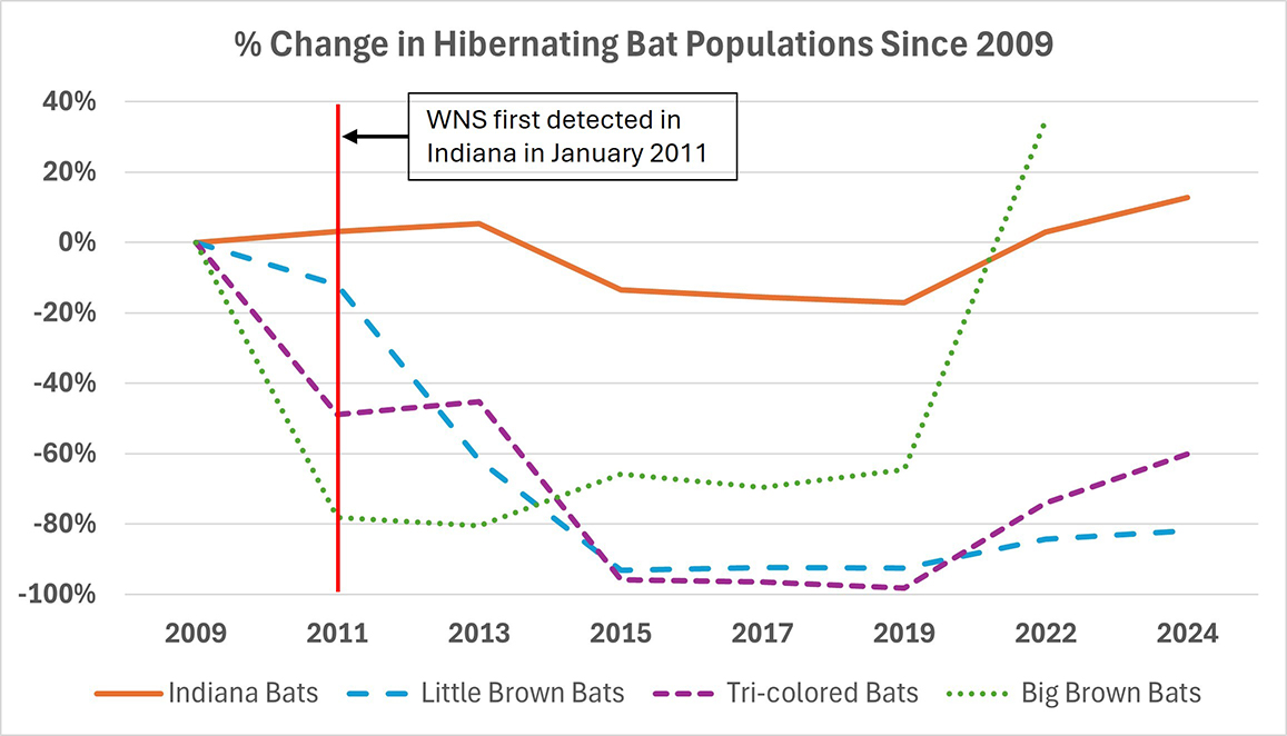 fw-bat-populations.jpg