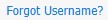 Forgot Your Username