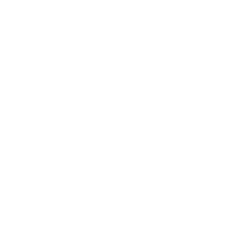 carrier-insurance-icon.png