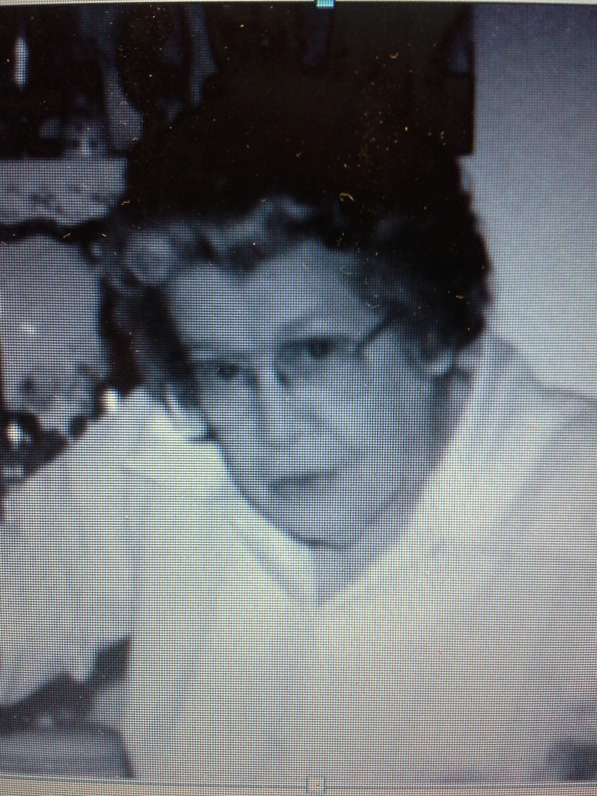 Audra Page