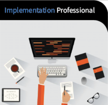 Implementation Professional