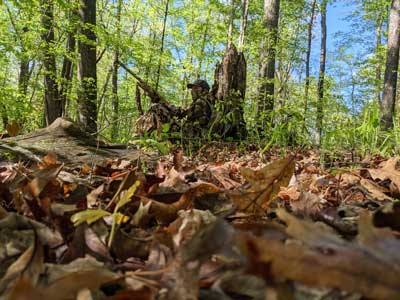 Man in forest