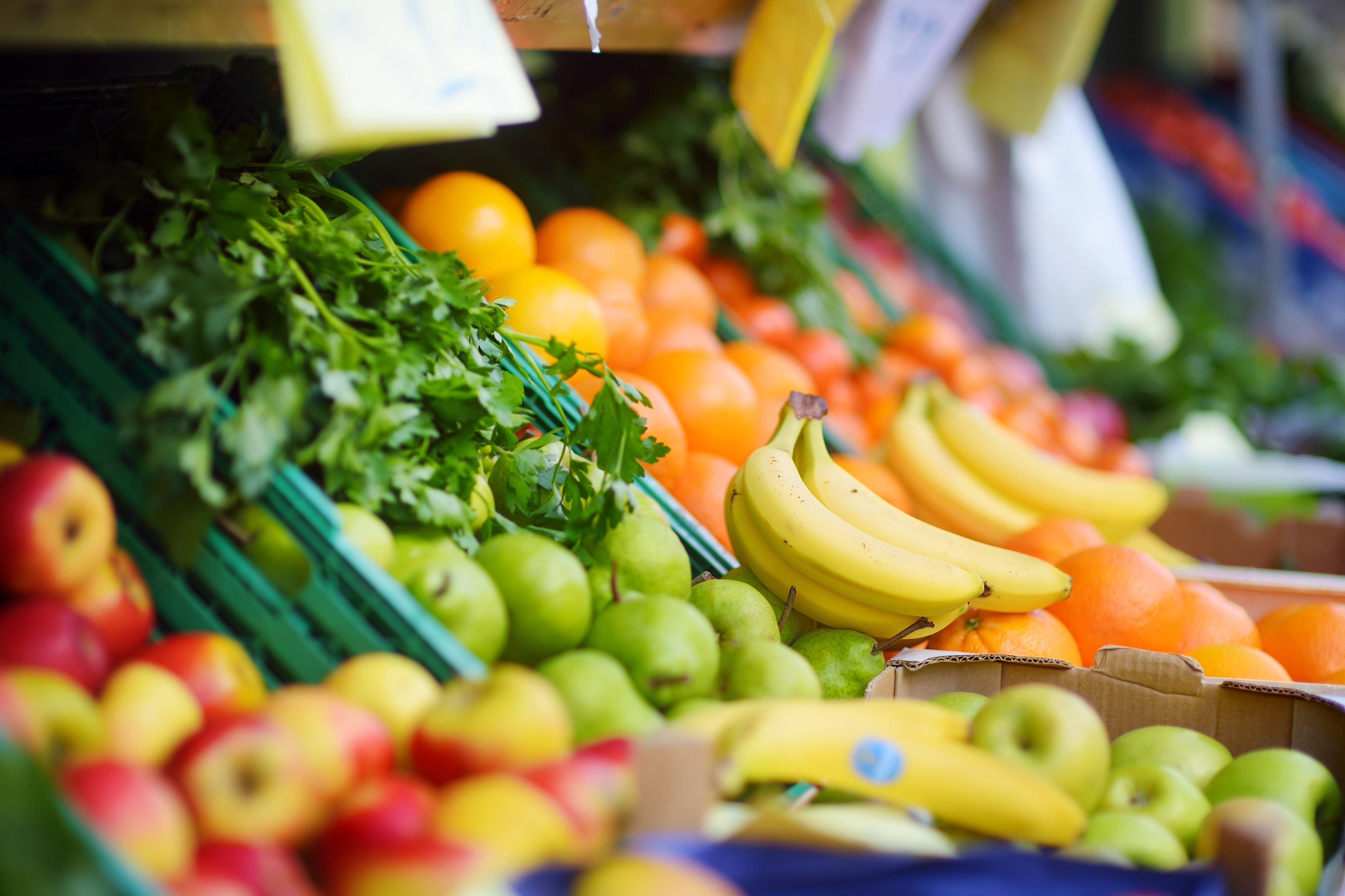 AdobeStock_115252465.jpeg
