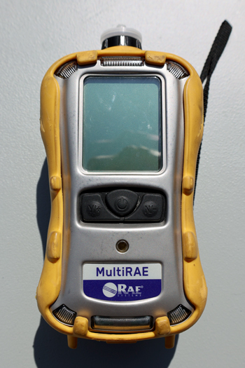 MultiRAE
