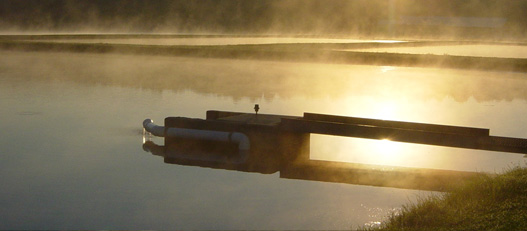 East Fork Hatchery