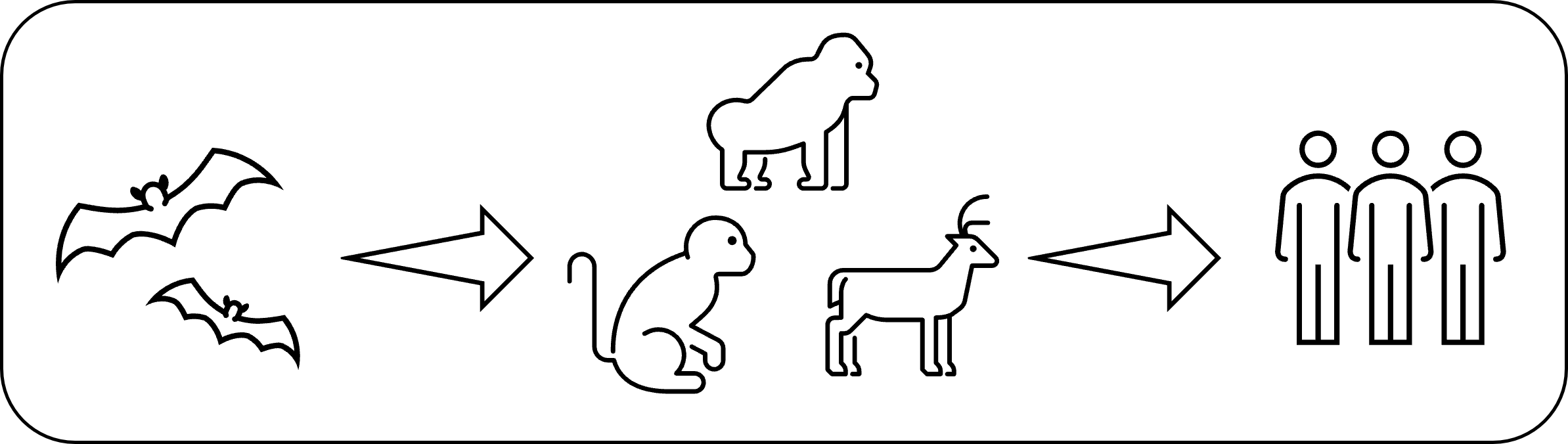 EVD transmission image