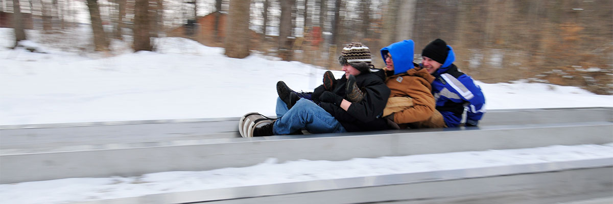 people sledding on toboggan run