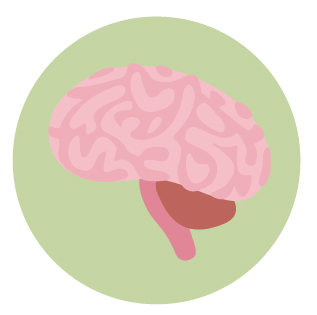 graphic of brain