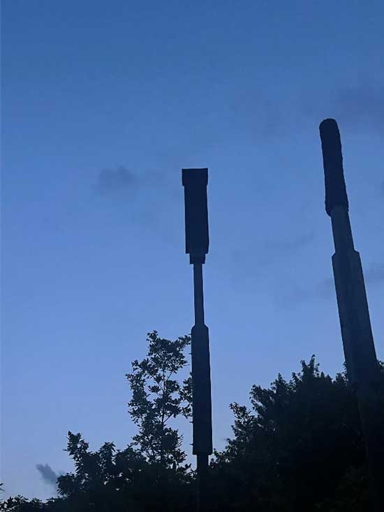 fw-bat-roost-photo-2.jpg