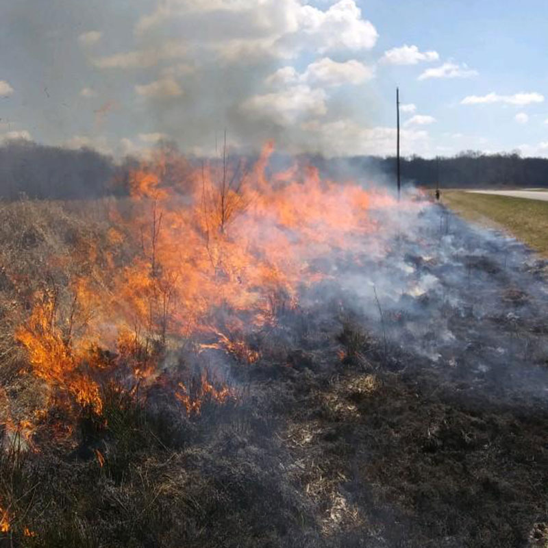 field on fire