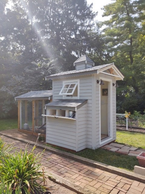 Chicken Coup