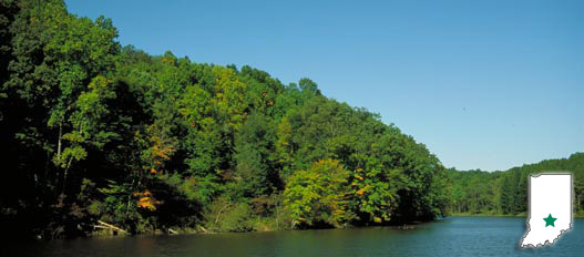 morgan-monroe state forest morgan-monroe state forest