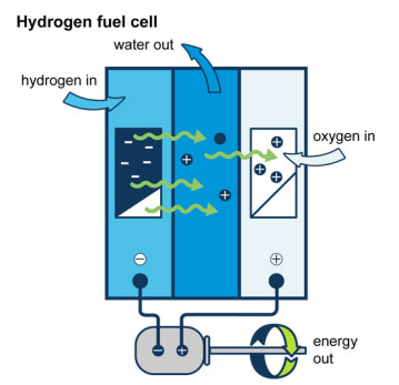 Hydrogen Fuel Cell