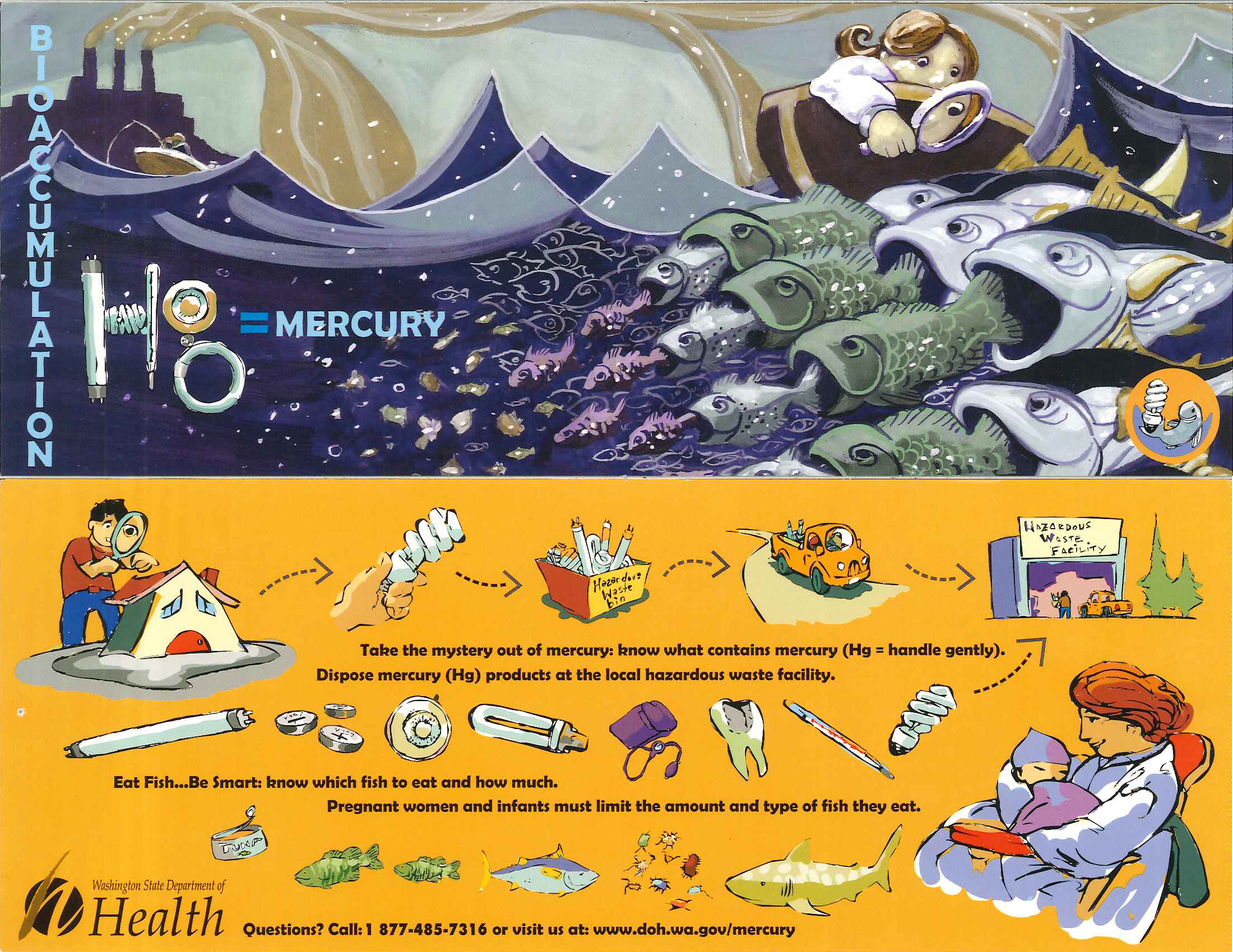 WA Brochure