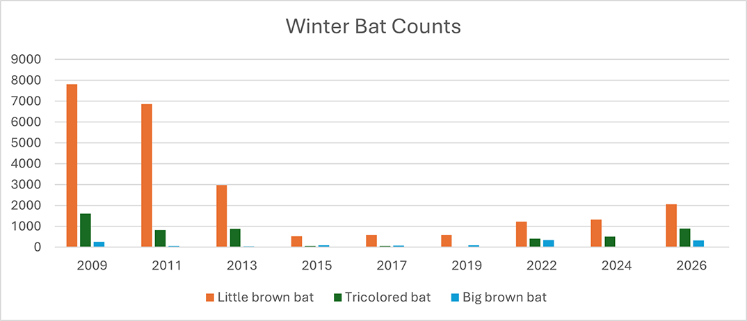 fw-WNS-winter-bat-counts.png