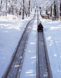 Toboggan run