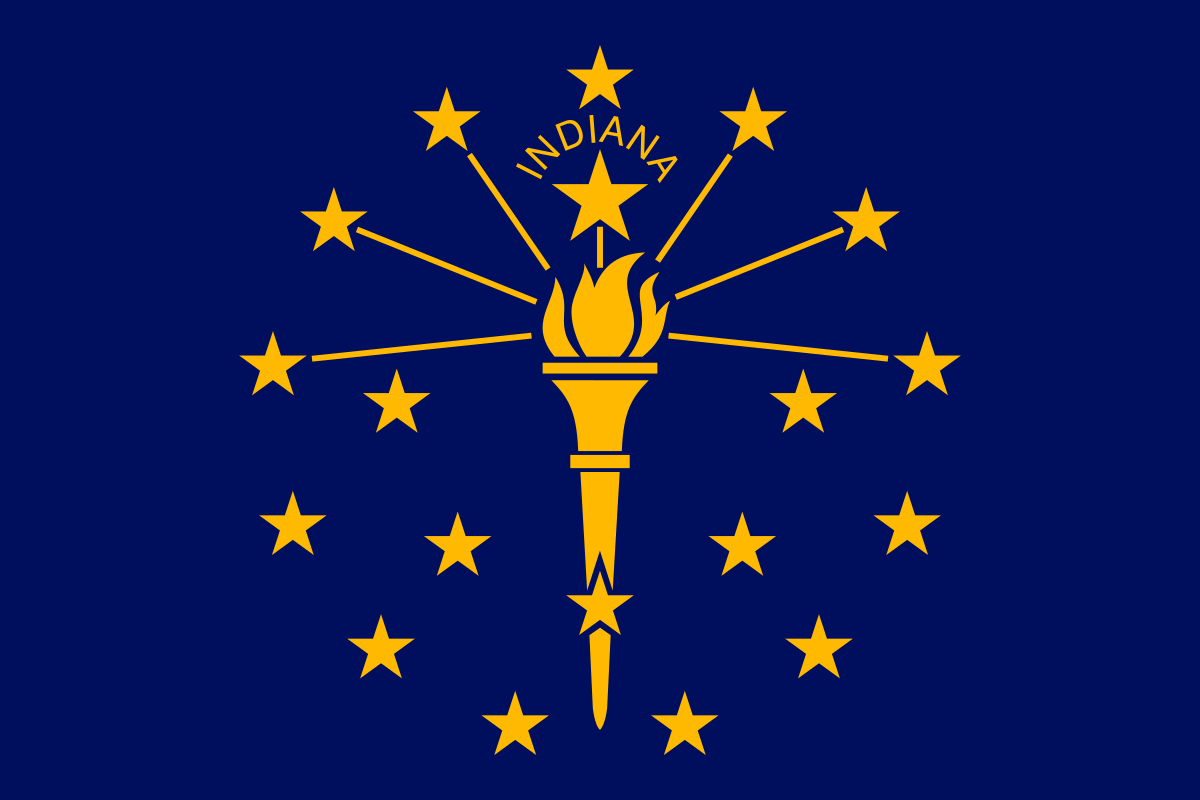 Indian State Flag