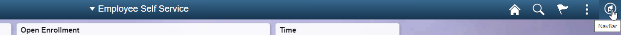 Navigation icon in the ribbon