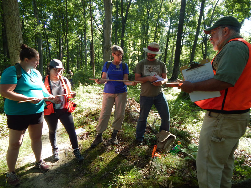 People measuring tree