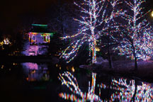 Wellfield, shown decorated with holiday lights last December, plans to hang a million lights for this season&rsquo;s Winter Wonderland Holiday Light Show.  