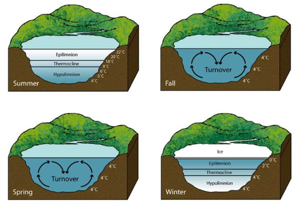wa-lake-mixing-stratification.png