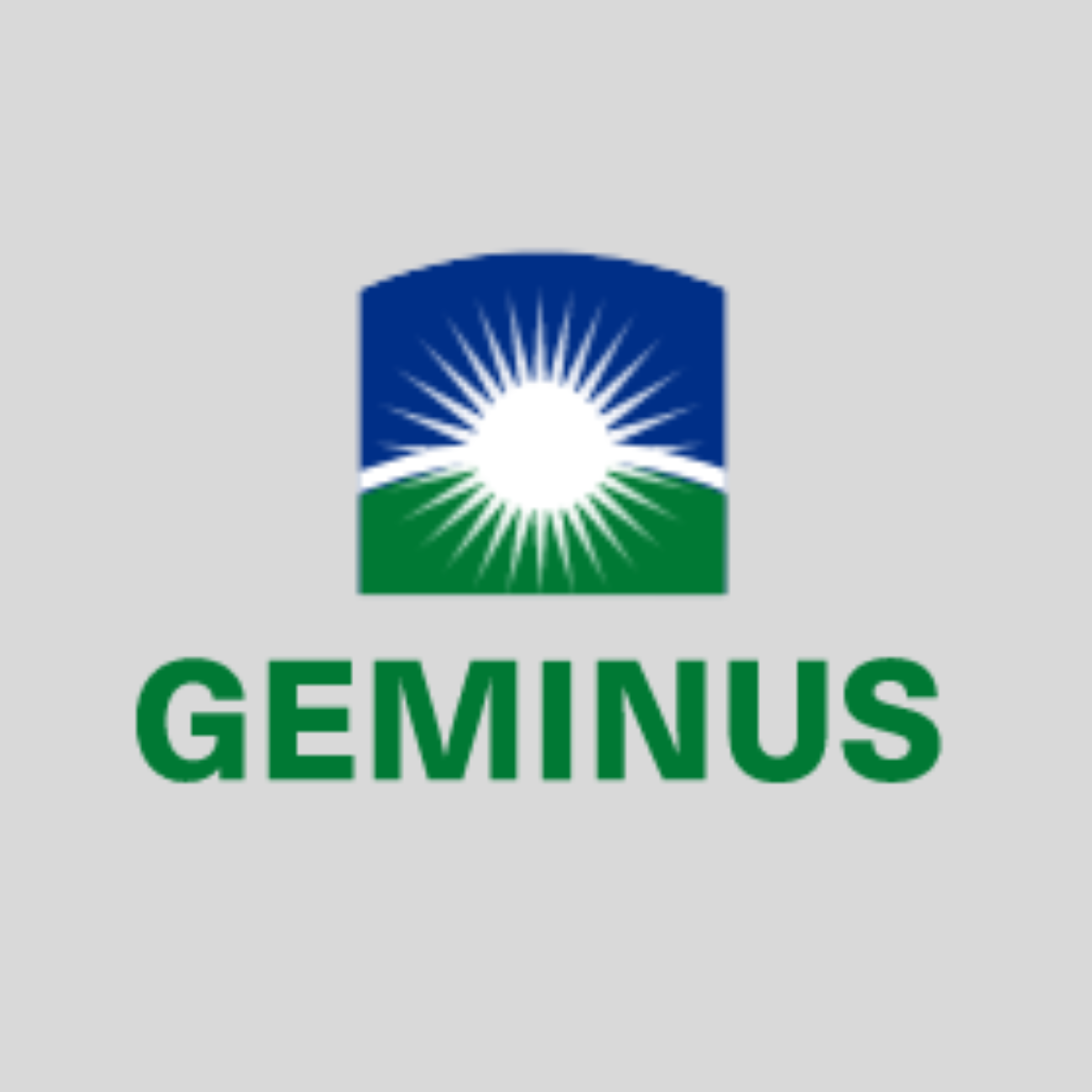 geminus2023