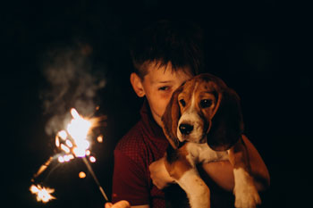 Child holding dog and a sparkler