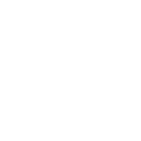 Shield icon