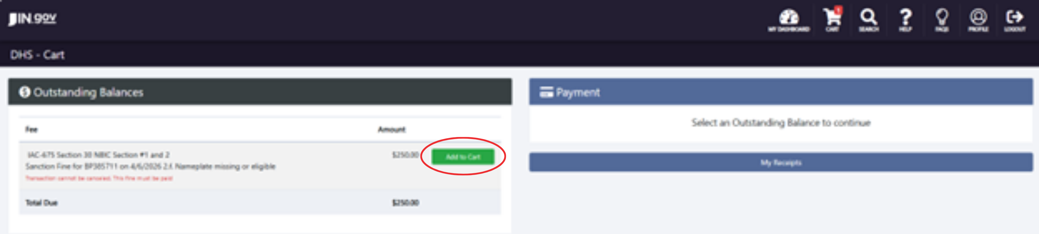 3How to pay for a Sanction-