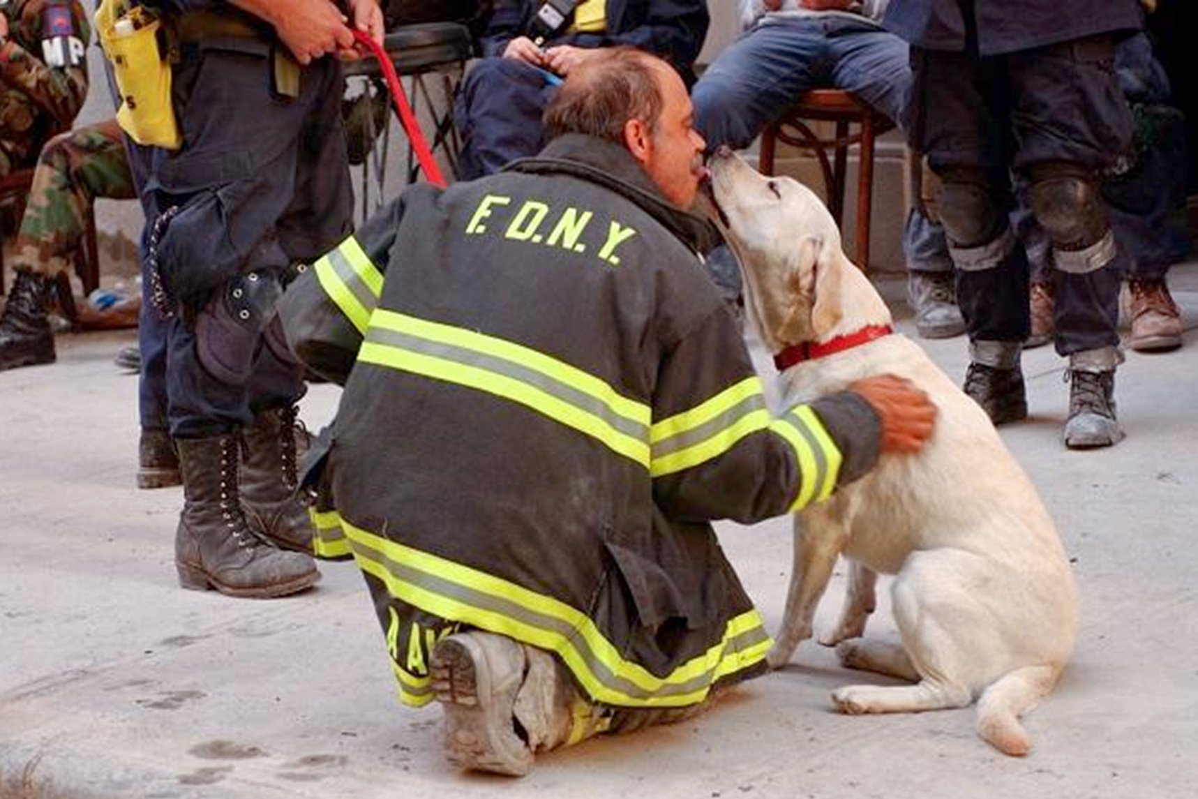 K-9 licks kneeling New York firefighter on face
