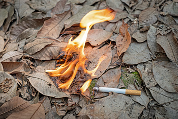 Cigarette on ground catching dry leaves on fire