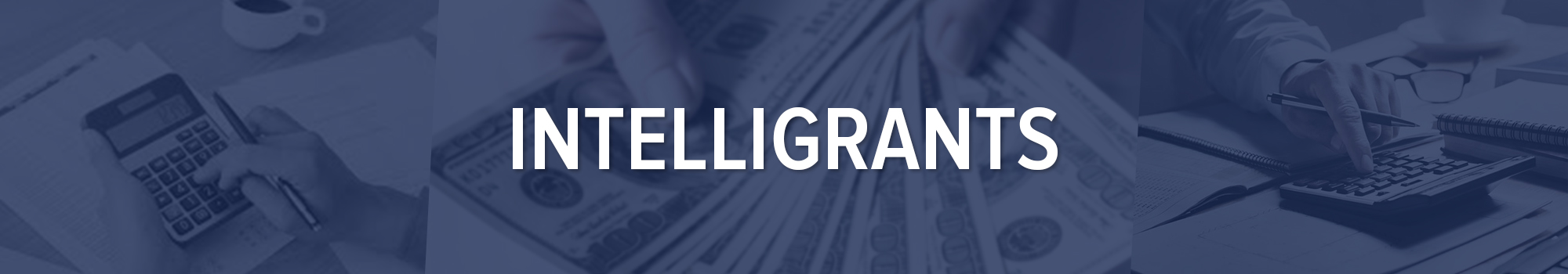 IntelliGrants banner