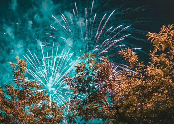 fireworks over trees in a neighborhood