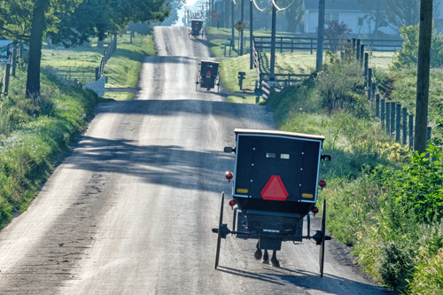 Horse-drawn vehicles on country road