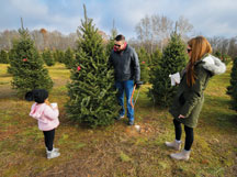 Chris and Caitlin Laurino of Indianapolis pick out a tree with their daughter Amelia at Dull’s Tree Farm.