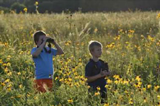 Two kids looking for birds in the grassland