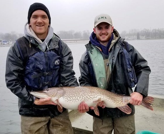 Biologists holding Northern PIke