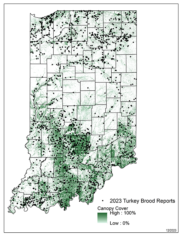 Map showing Indiana turkey brood canopy cover
