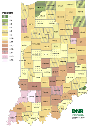 Indiana Trophy Bucks - Game & Fish