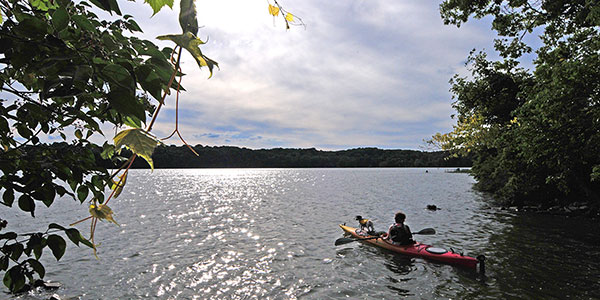 Person and dog kayaking